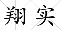 翔實