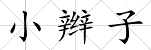 小辮子