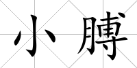 小膊