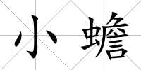 小蟾