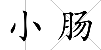 小腸