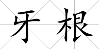 牙根
