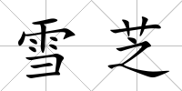 雪芝