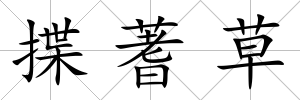 揲蓍草