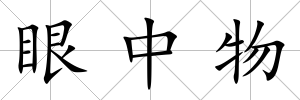 眼中物