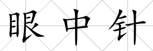 眼中針