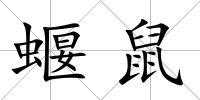 蝘鼠