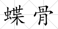蝶骨