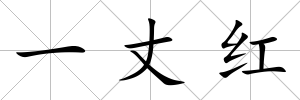 一丈紅