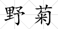 野菊