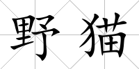 野貓