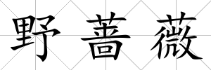 野薔薇