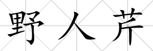 野人芹
