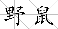 野鼠