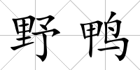 野鴨