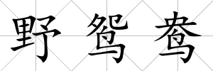野鴛鴦
