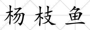 楊枝魚(yú)