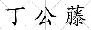 丁公藤