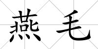 燕毛