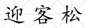 迎客松