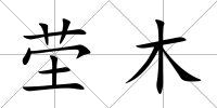 塋木