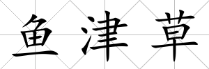 魚津草