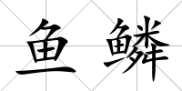 魚鱗