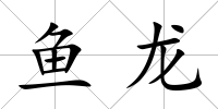 魚龍