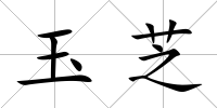 玉芝
