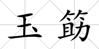玉筯