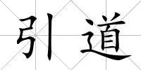 引道