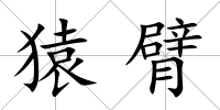猿臂