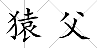 猿父