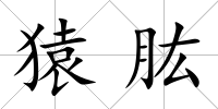 猿肱