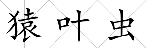 猿葉蟲