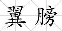 翼膀