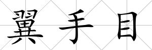 翼手目
