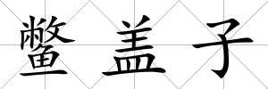鱉蓋子