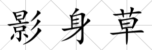 影身草