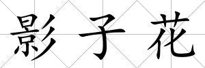 影子花