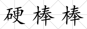 硬棒棒