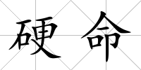 硬命