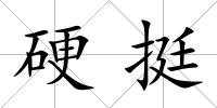 硬挺