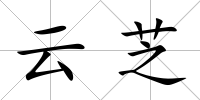 云芝