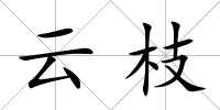 云枝