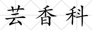蕓香科