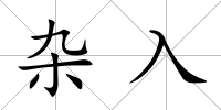 雜入