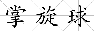 掌旋球