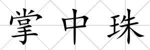 掌中珠