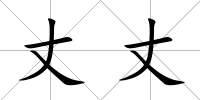 丈丈